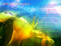 /album/kepes-oldal/beke-uljon-minden-hazra-jpg/